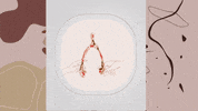 ladeees wishbone lades ladestutuşmak ladesoyunu GIF