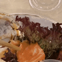 Cat Food GIF