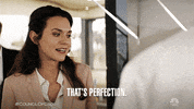 Season 1 Episode 3 GIF by NBC
