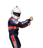 Gabriele Tarquini Motorsport Sticker by FIA World Touring Car Cup