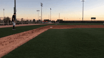 BeaverBaseball baseball oregon state oregon state baseball GIF