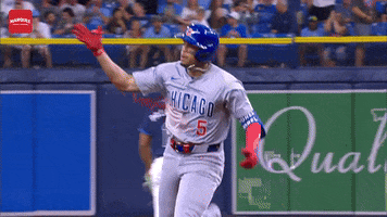 Chicago Cubs GIF by Marquee Sports Network