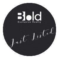 Bebold Sticker by Bold Realty USA