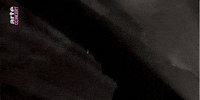 sub pop metz GIF by Sub Pop Records