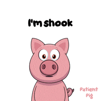 Surprise Wow GIF by VeeFriends