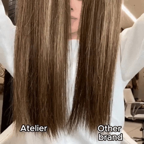 AtelierExtensions giphyupload GIF
