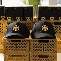 Swag Mascot GIF by CaptainBNB