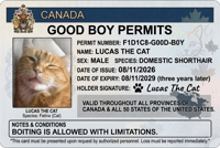 Good Boy Cat Meme GIF