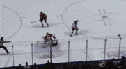 happy ice hockey GIF by NHL