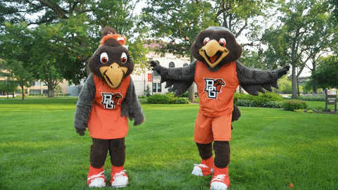 Bowling Green Fly GIF by Bowling Green State University