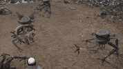 Endlings GIF by Sinking Ship Entertainment