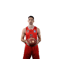 Sport Basketball Sticker by Bamberg Baskets