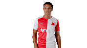 Football Soccer Sticker by SK Slavia Praha