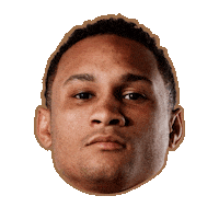 Muhammad Ali Fighting Sticker by World Boxing Super Series