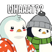 Excuse Me What Sticker by Pudgy Penguins