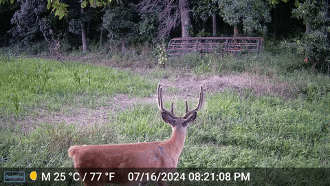 MOhunting giphyupload GIF