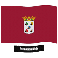 Flag Spain Sticker by Formación Ninja