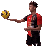 Ball Volleyball Sticker by Volley Treviso