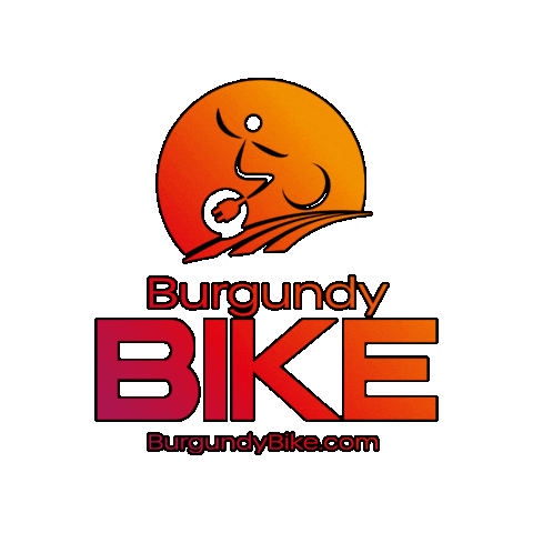 burgundybike giphygifmaker bike electric bike burgundy bike Sticker