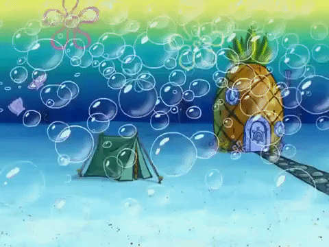 season 8 episode 20 GIF by SpongeBob SquarePants