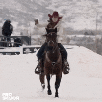 proskijor skiing horses snowboarding wintersports GIF