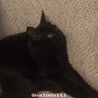 Natooniii GIF