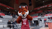 Ucam Murcia Basketball GIF by UCAM Universidad