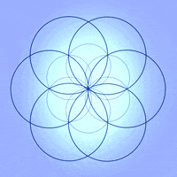 geometry mandala GIF by Matt Gilligan