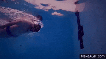 skillsnt giphyupload GIF