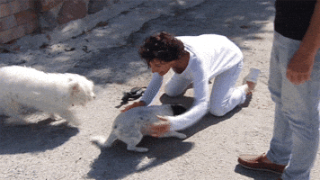 Licking Bed And Breakfast GIF by RTL