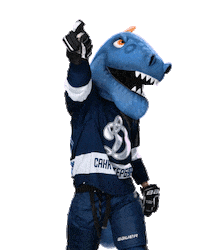 Hockey Swag Sticker by HC Dynamo Saint Petersburg