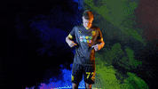 Meow Wolf Wags GIF by New Mexico United