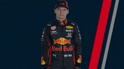 redbullracing car racing race 2019 GIF