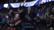 Happy The Wave GIF by Quad City Storm