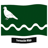 Flag Spain Sticker by Formación Ninja