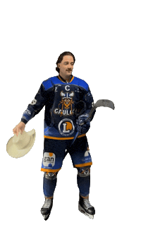 Celebration Goal Sticker by Hockey Club Châlonnais
