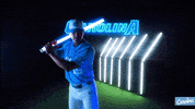 North Carolina Baseball GIF by UNC Tar Heels