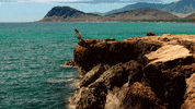 Jump Cliff GIF by ABC Network