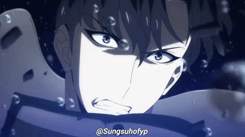 Solo Leveling Sung GIF
