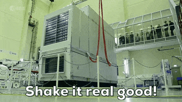 shake it real good GIF