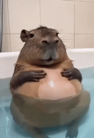 giphy.gif