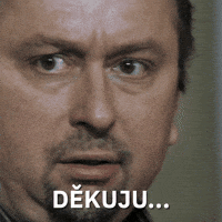 Lobby Volby GIF by Seznam.cz