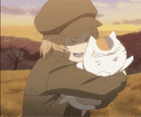 Cat Taki GIF