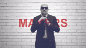 Palibex moustache pale transporte logistica GIF