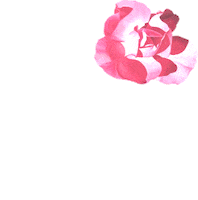 Flores Love Sticker by Perfumerias Juleriaque