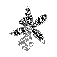 Art Illustration Sticker