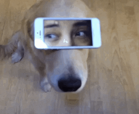 VicVik giphyupload GIF