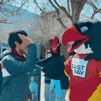 Falcon GIF by Cal State East Bay