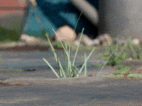 tweedyandfluff love cute sweet lets go GIF