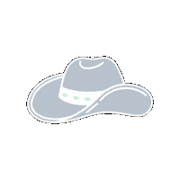 Cowboy Hat Sticker by Face Reality Skincare
